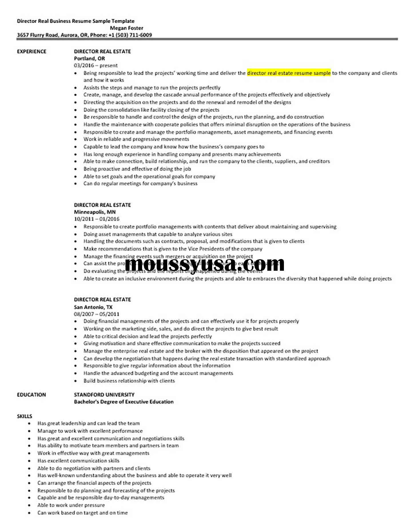 Director Real Business Resume Sample Template
