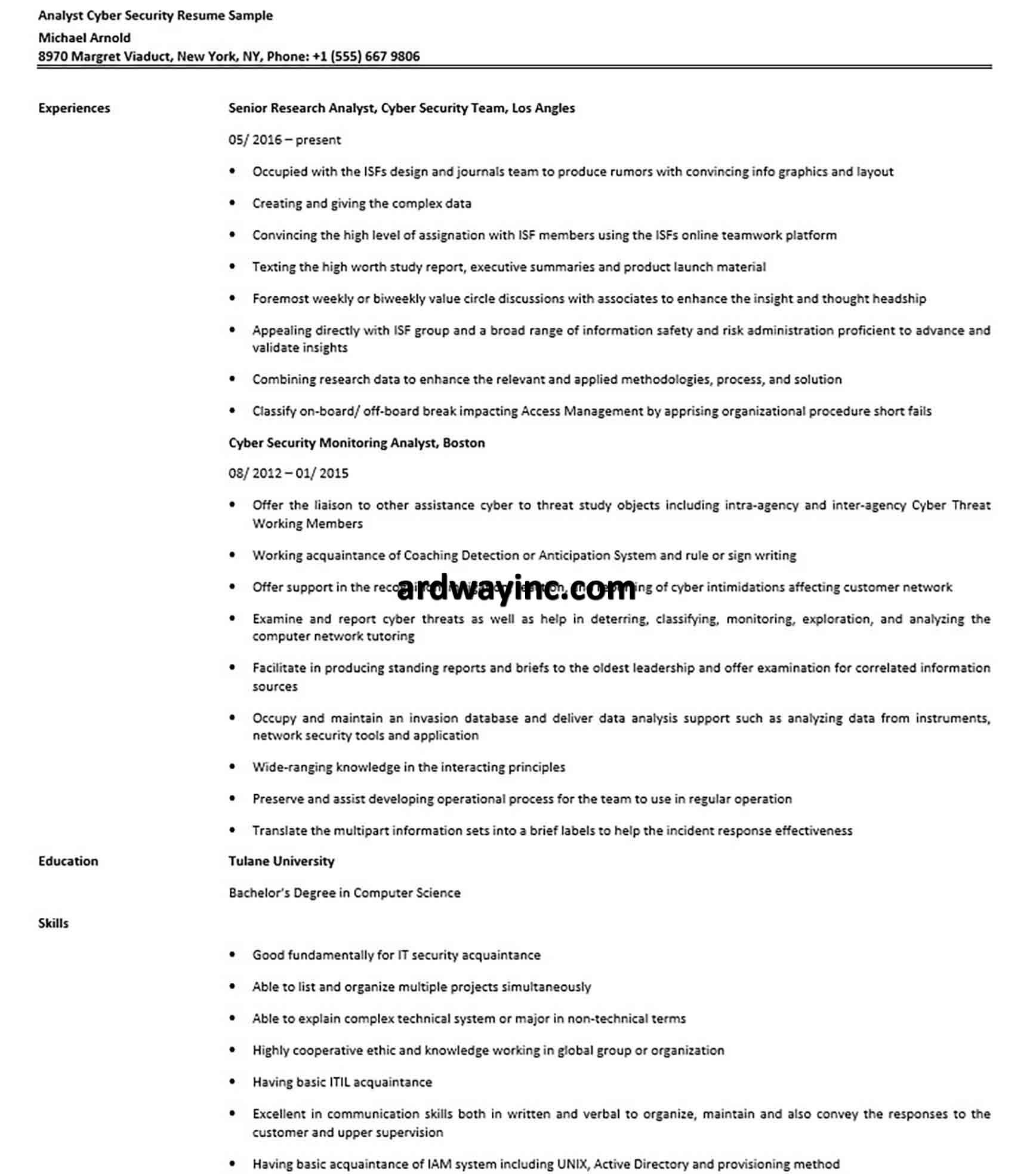 Analyst Cyber Security Resume Sample