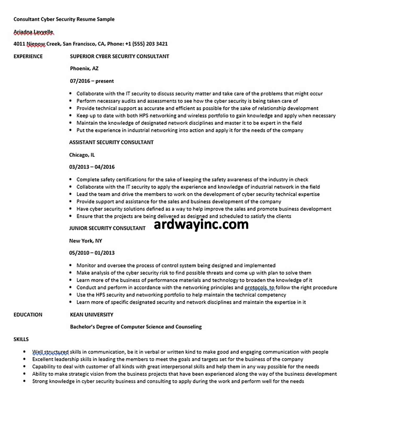 Consultant Cyber Security Resume Sample