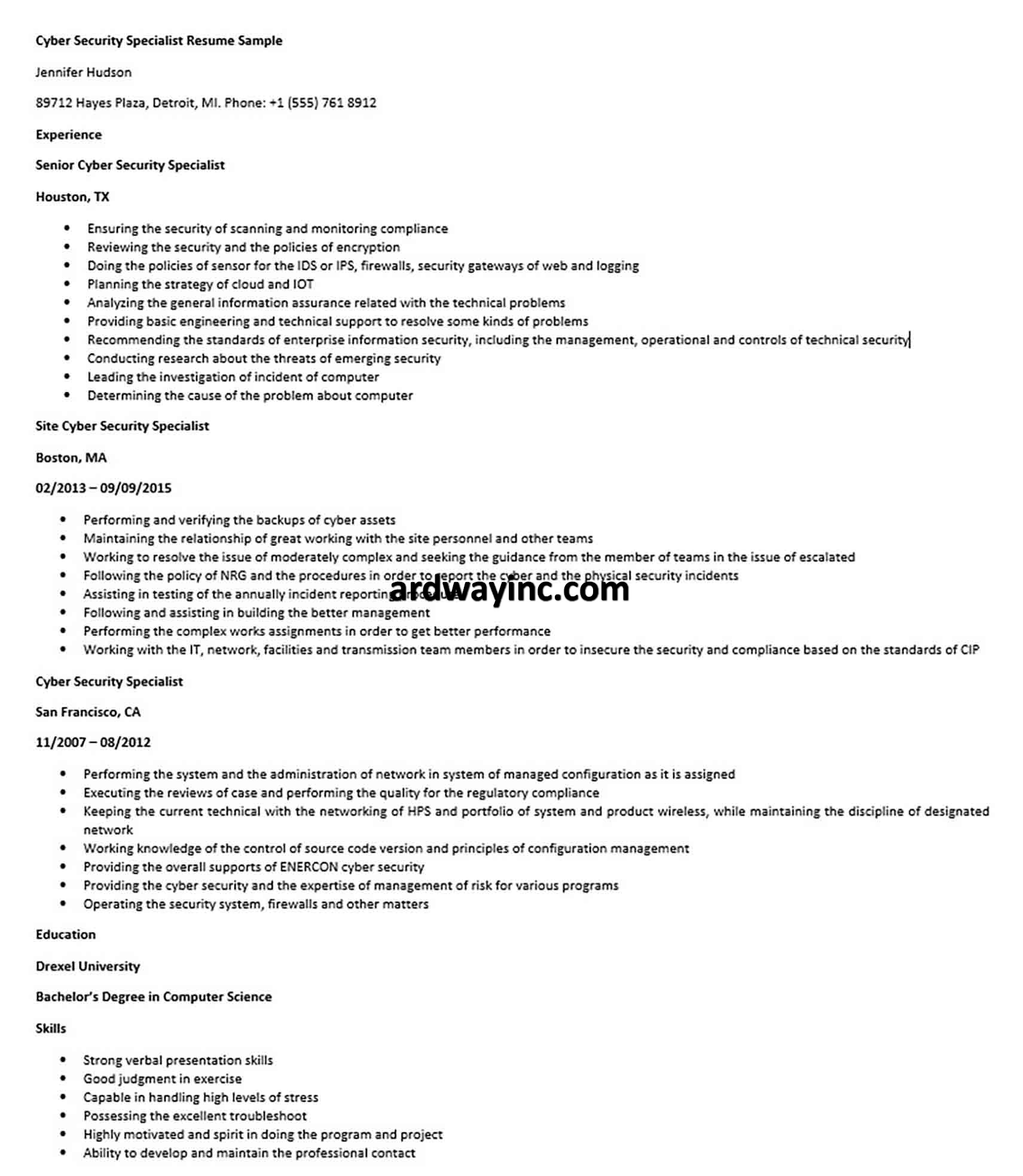 Cyber Security Specialist Resume Sample
