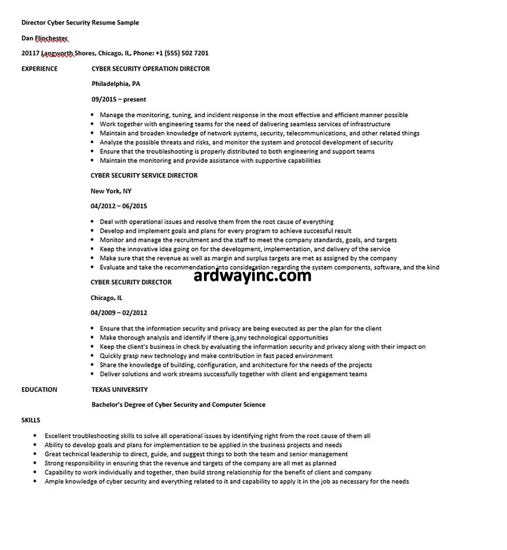 Director Cyber Security Resume Sample