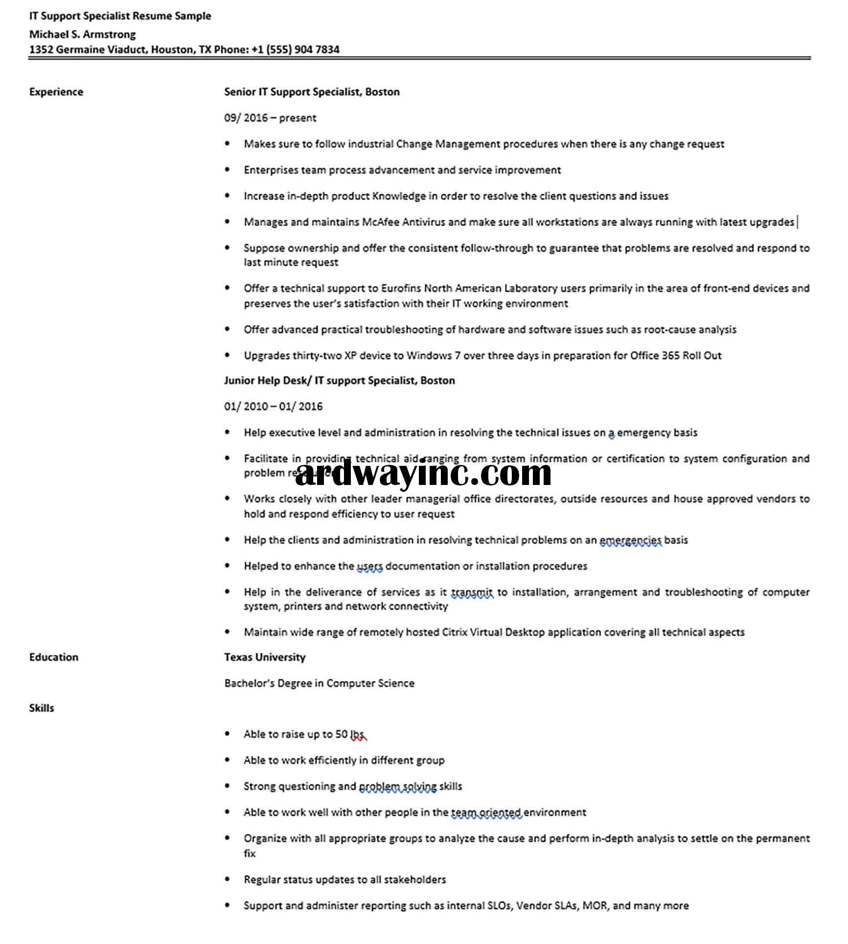 IT Support Specialist Resume Sample