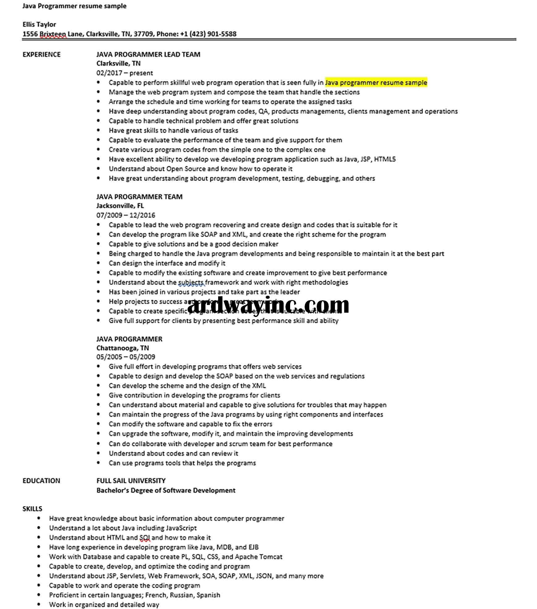 Java Programmer resume sample