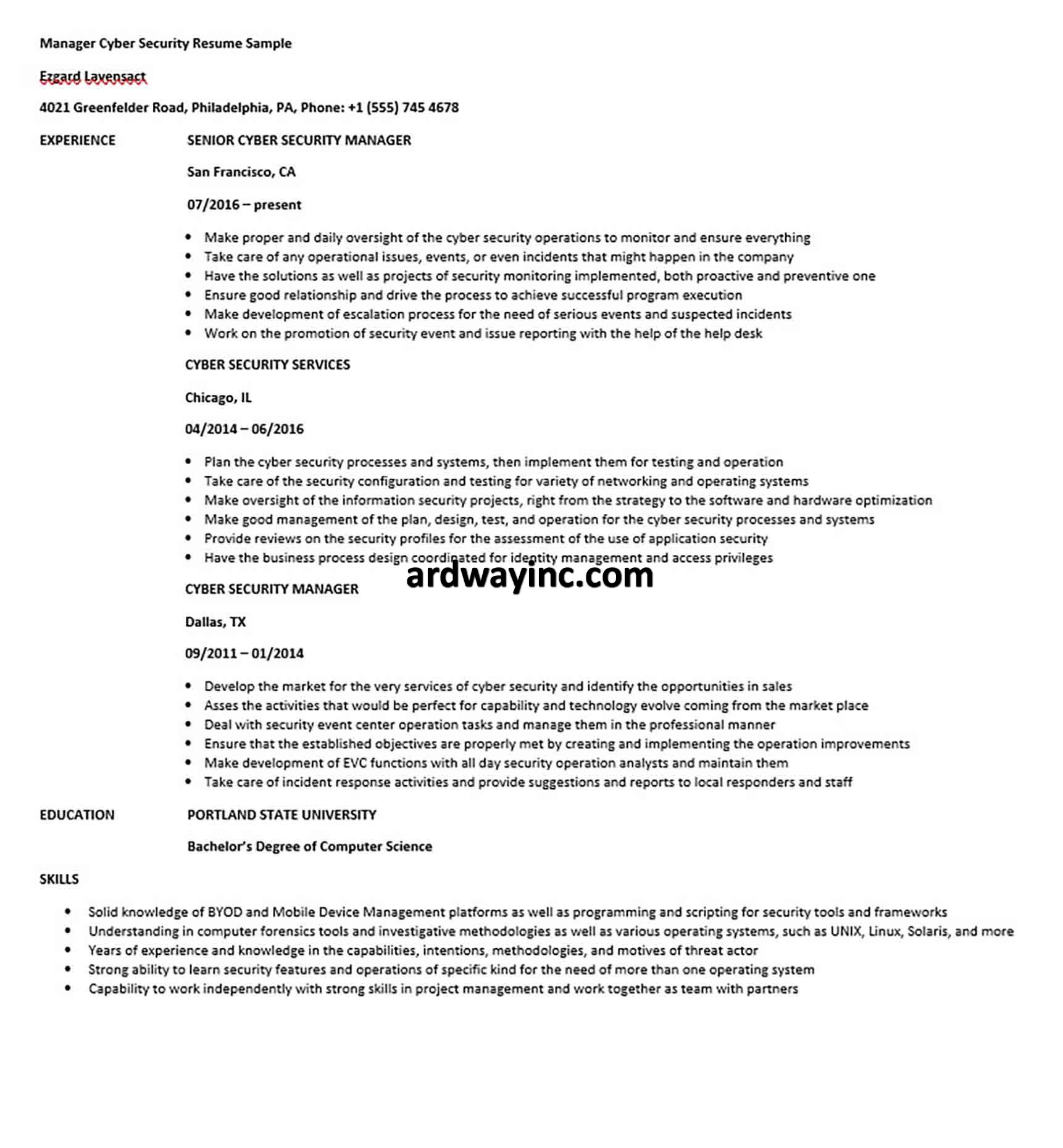 Manager Cyber Security Resume Sample
