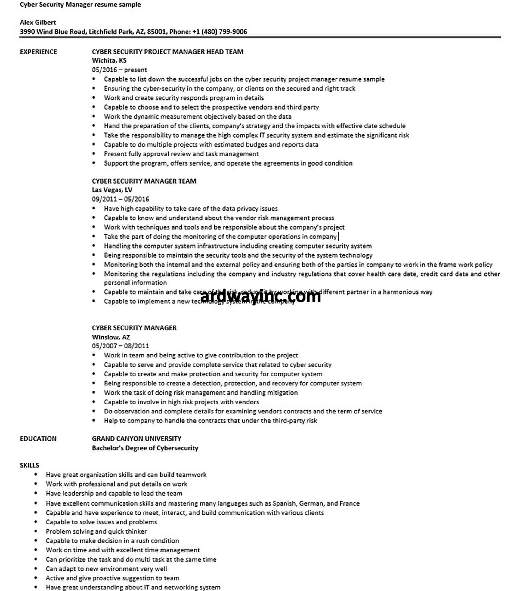 cyber security project manager resume sample