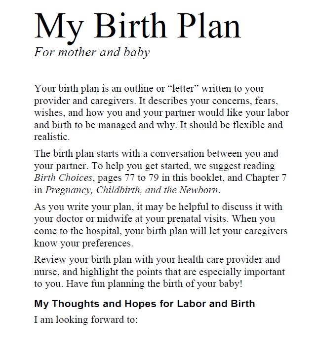 Birth Plan Template 36