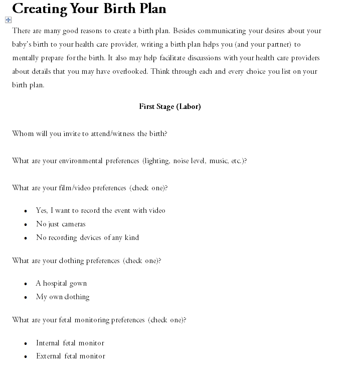 Birth Plan Template 47