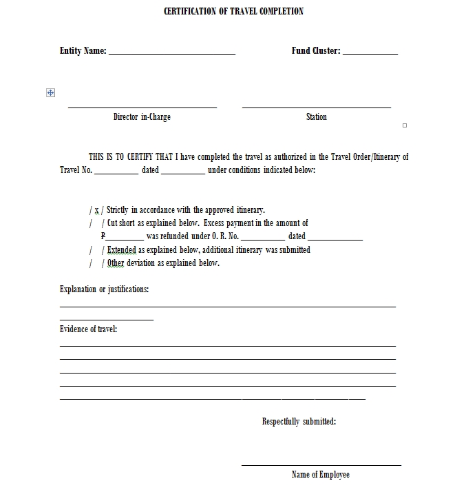 Certificate of Completion Template 17