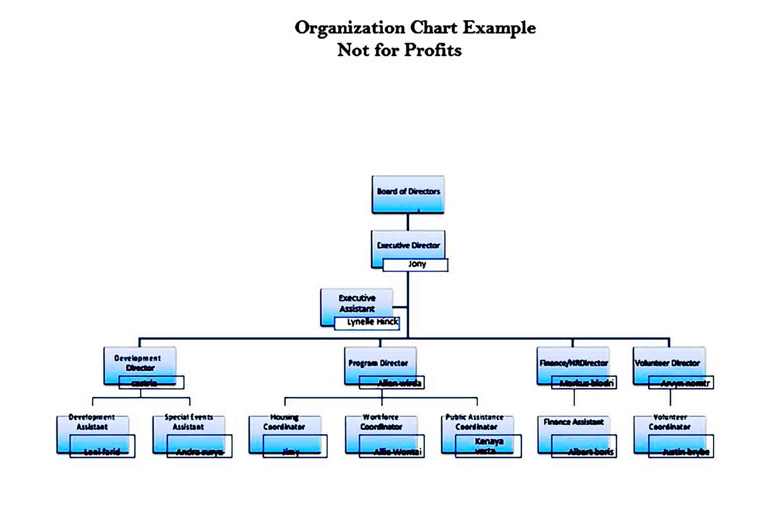 Organization Chart Example Not for Profits