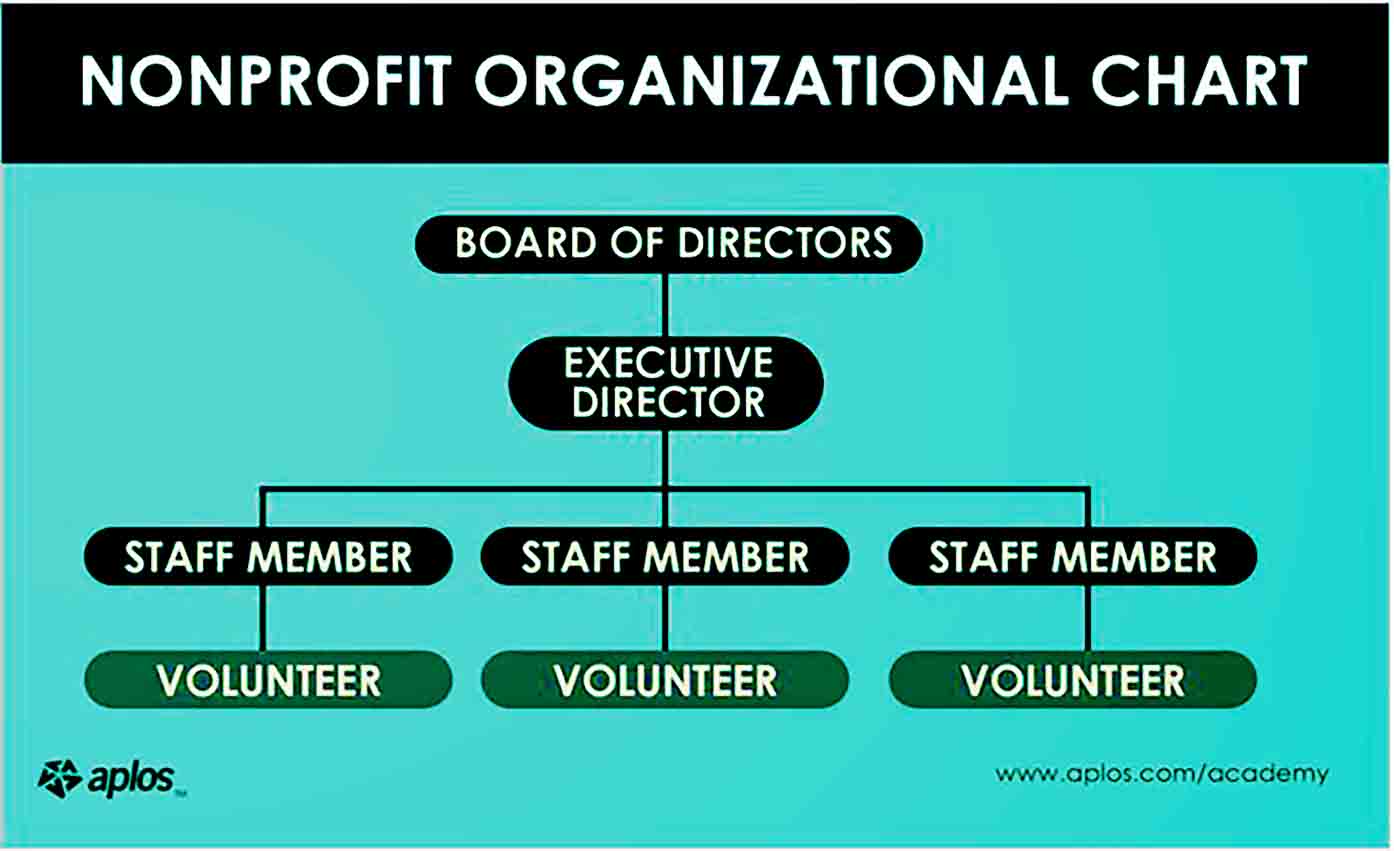 Sample Non Profit Organizational Chart