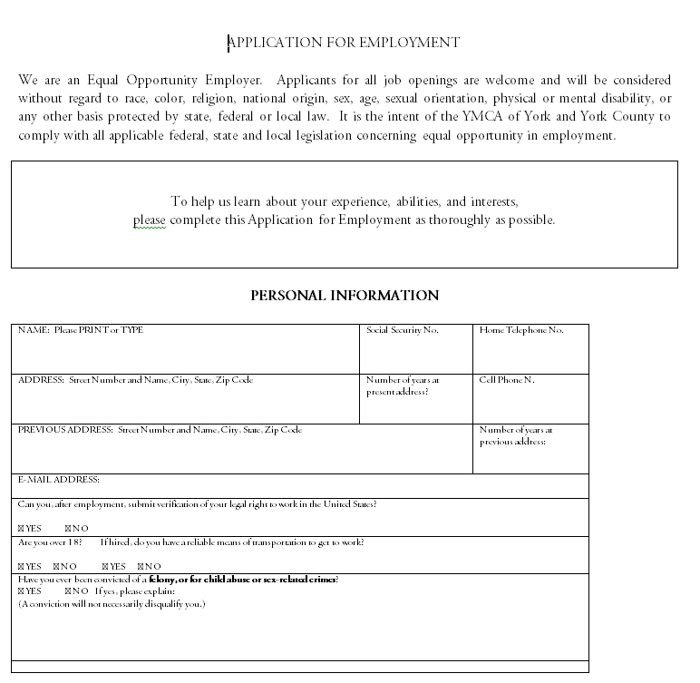 employment application template 30