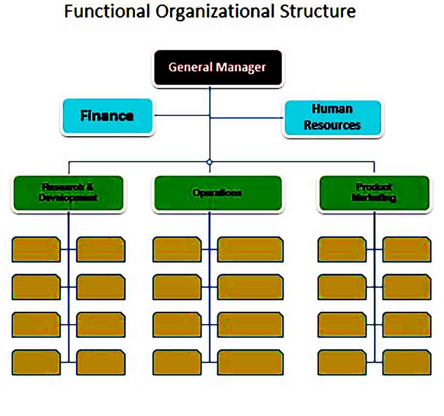 functional organizational structure chart
