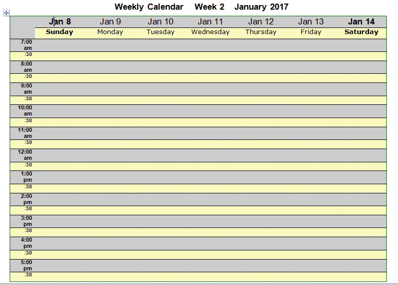 weekly calendar template 13