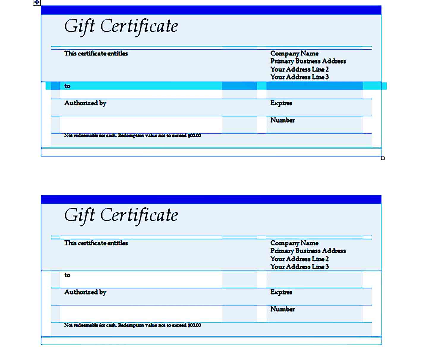 Gift Certificate Template 24