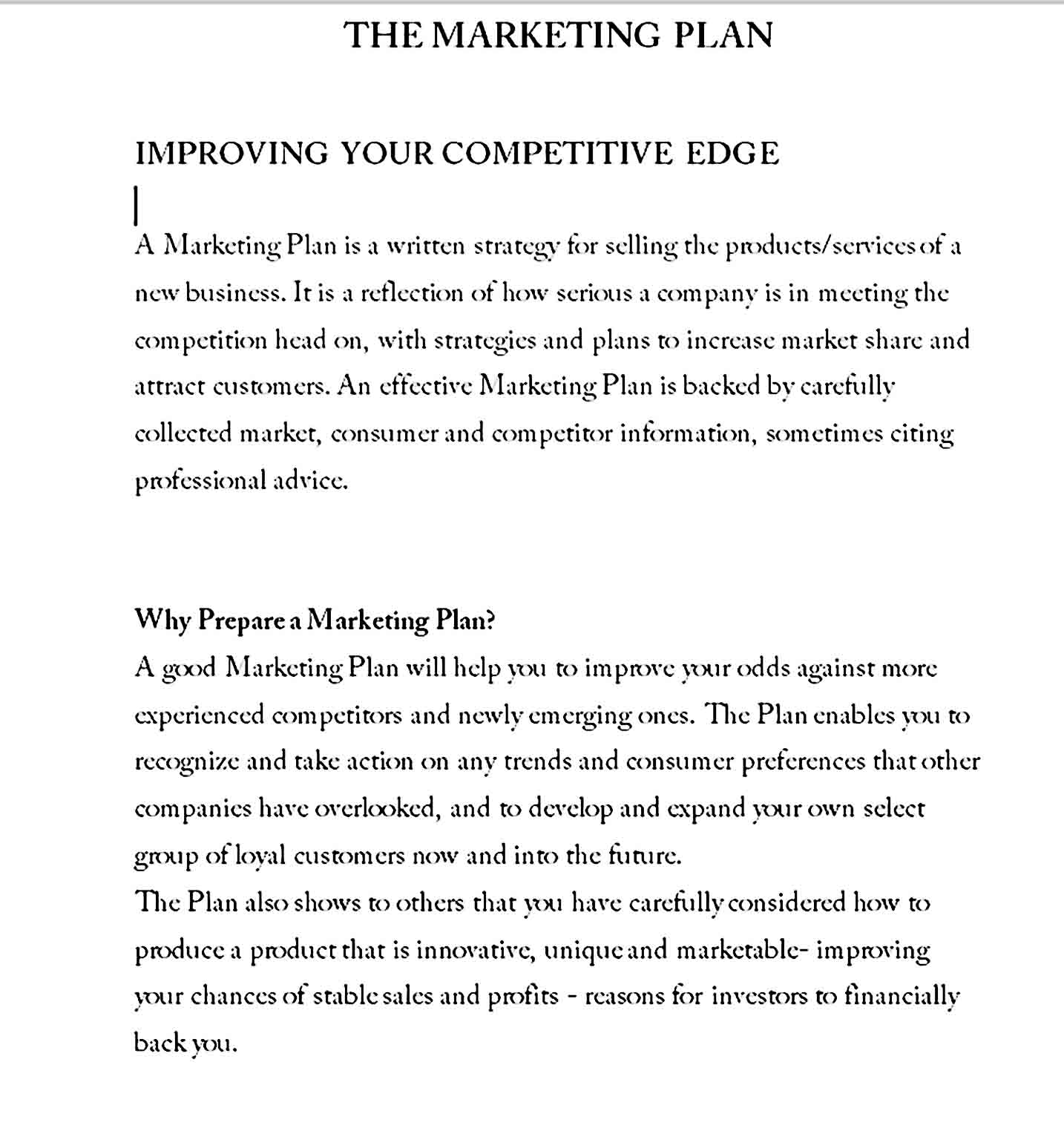 Marketing Plan Template 06