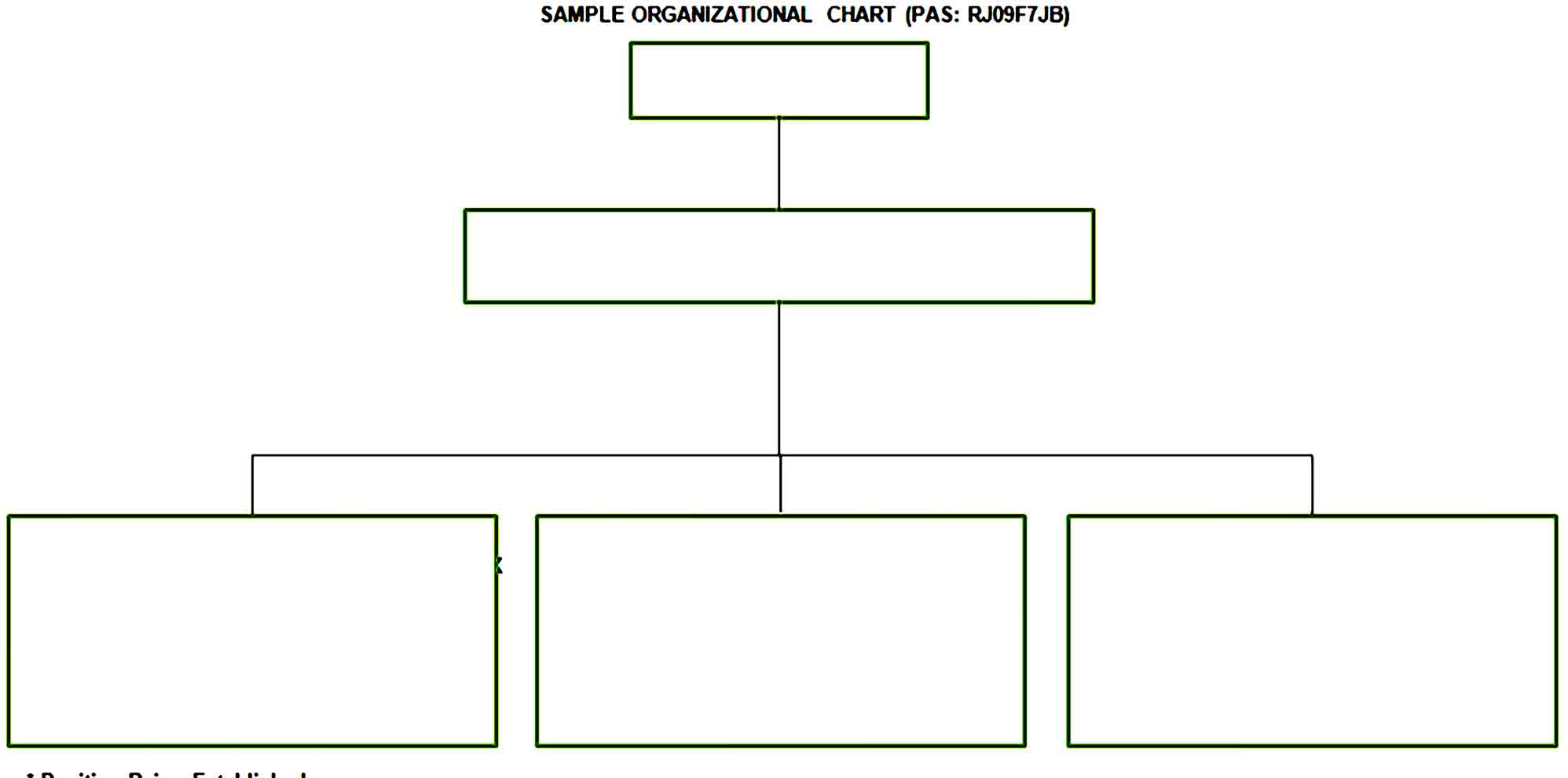 Organizational Chart 03