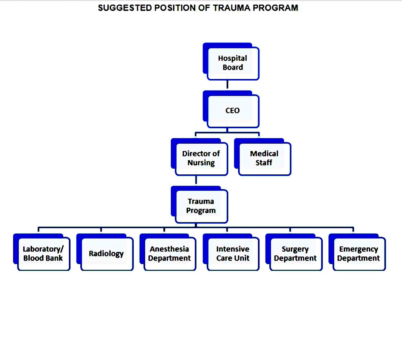 Organizational Chart 05