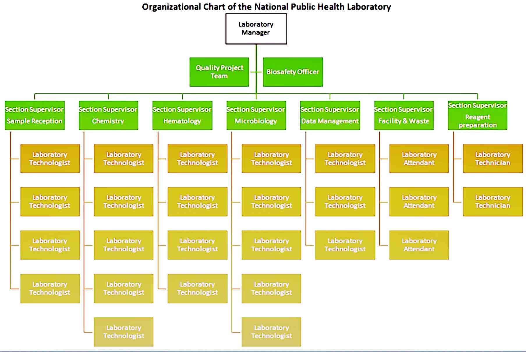 Organizational Chart 10