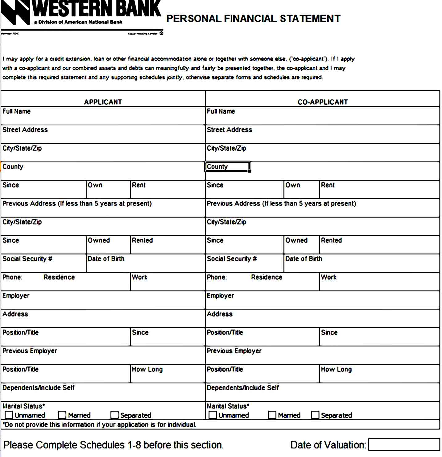 Personal Financial Statement Template 44