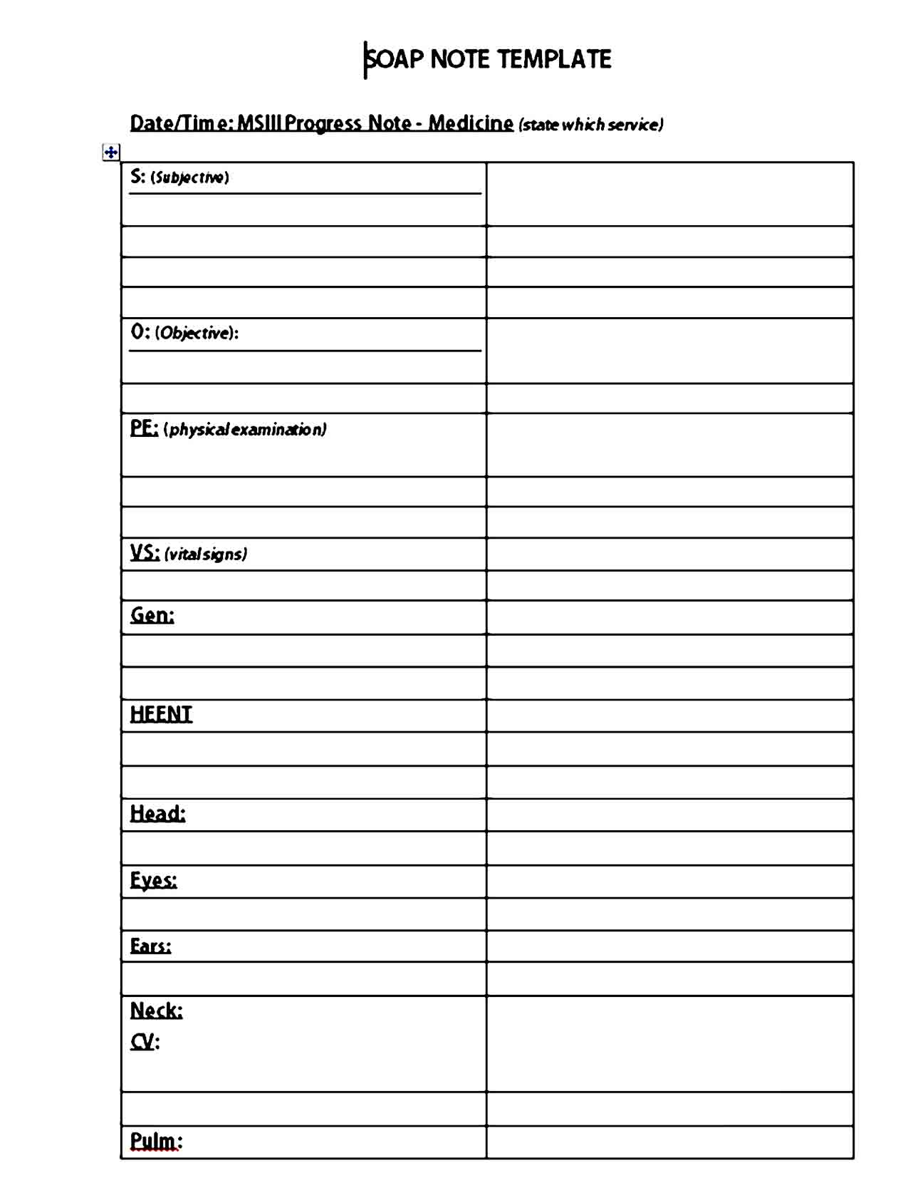 Soap Note Template 09