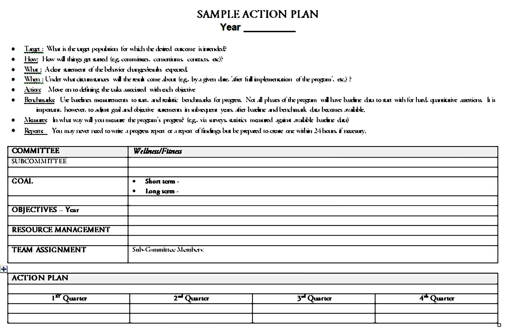 action plan template 28