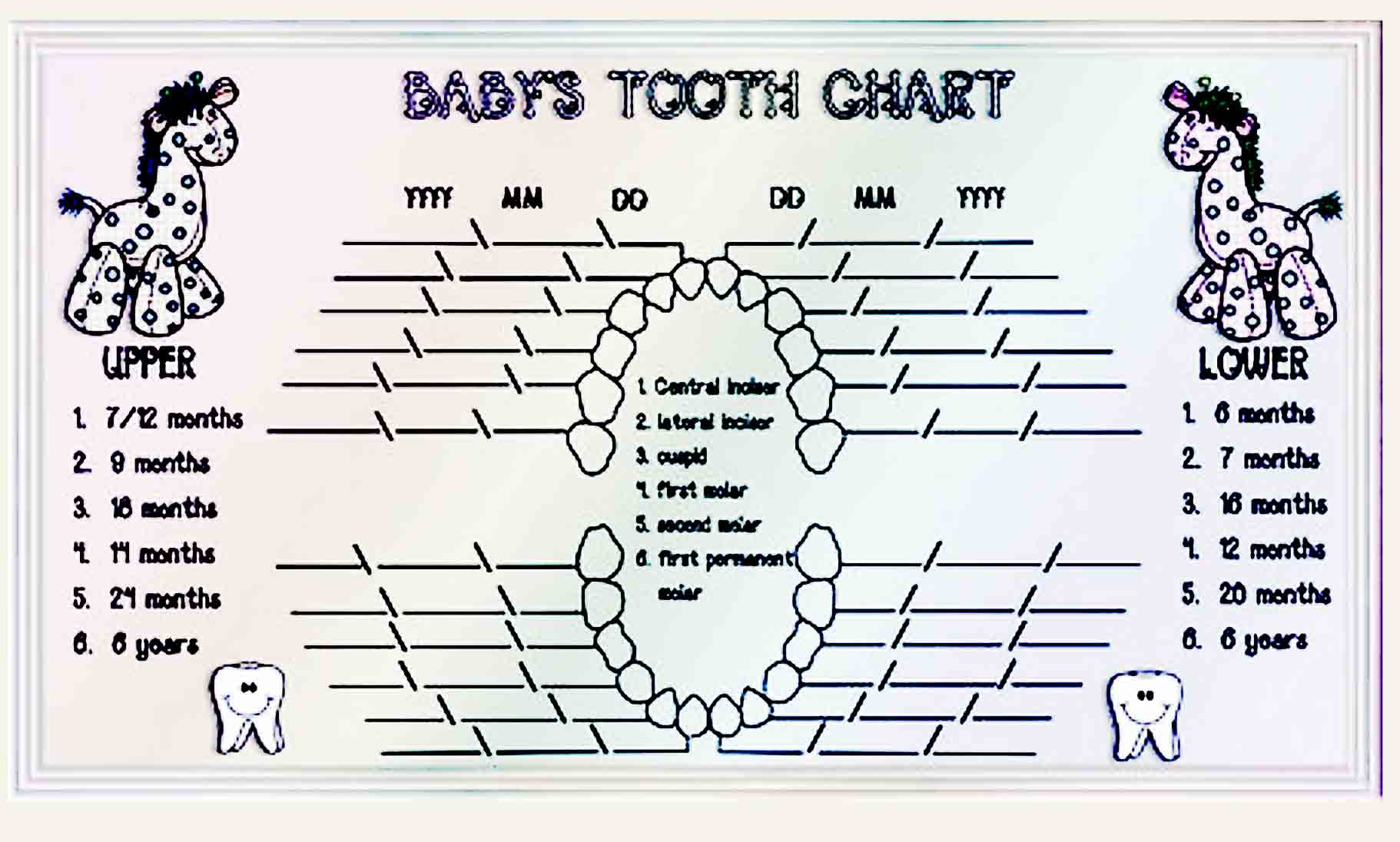 baby teeth chart 27