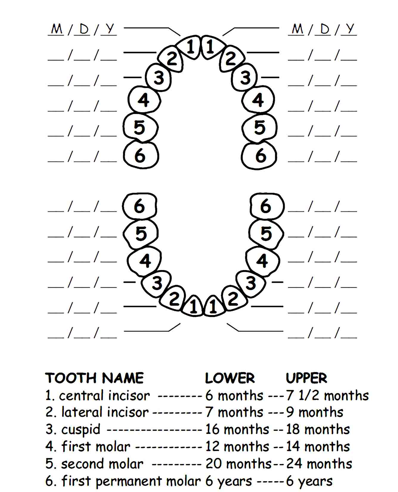 baby teeth chart 34