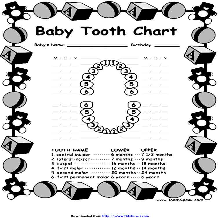 baby teeth chart 34 1