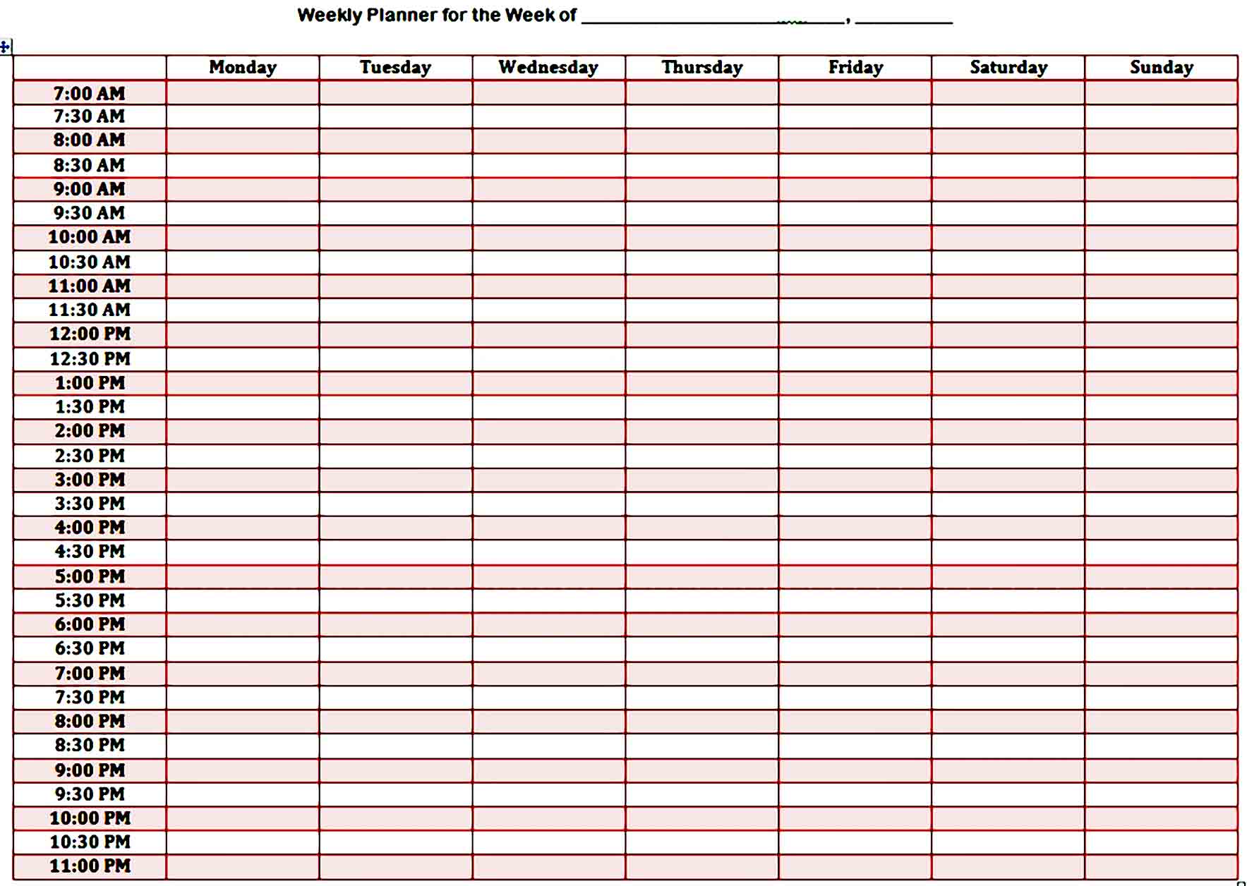 daily planner template 29