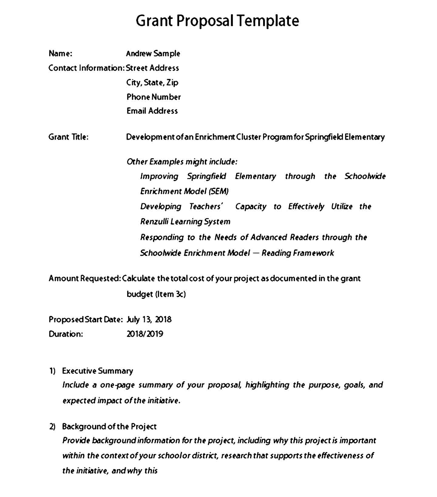 grant proposal template 03
