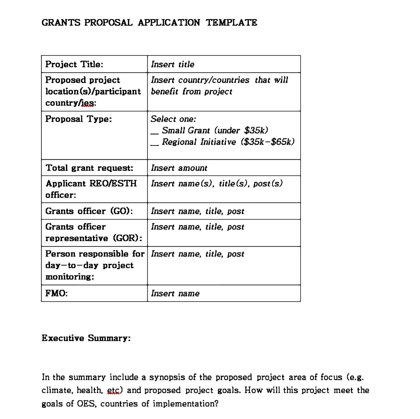 grant proposal template 08