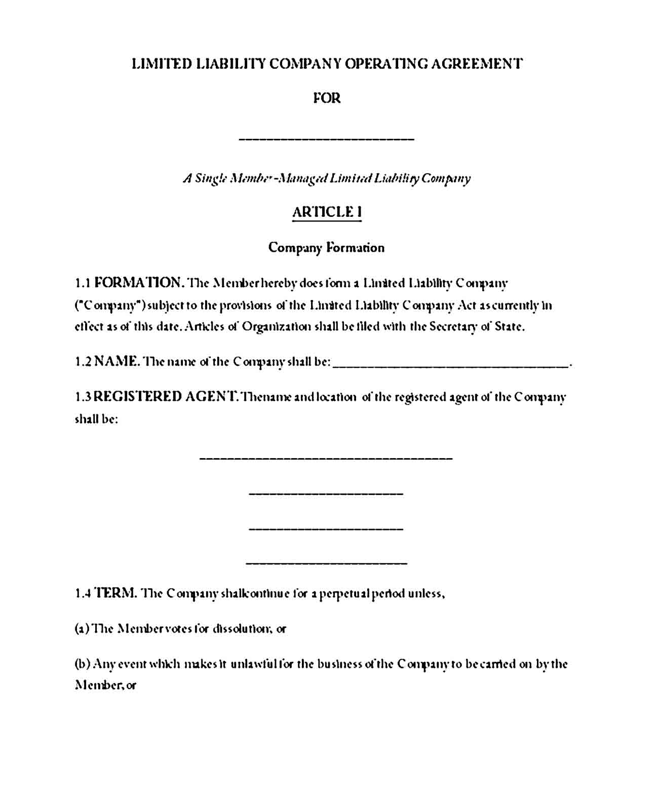 llc operating agreement template 05
