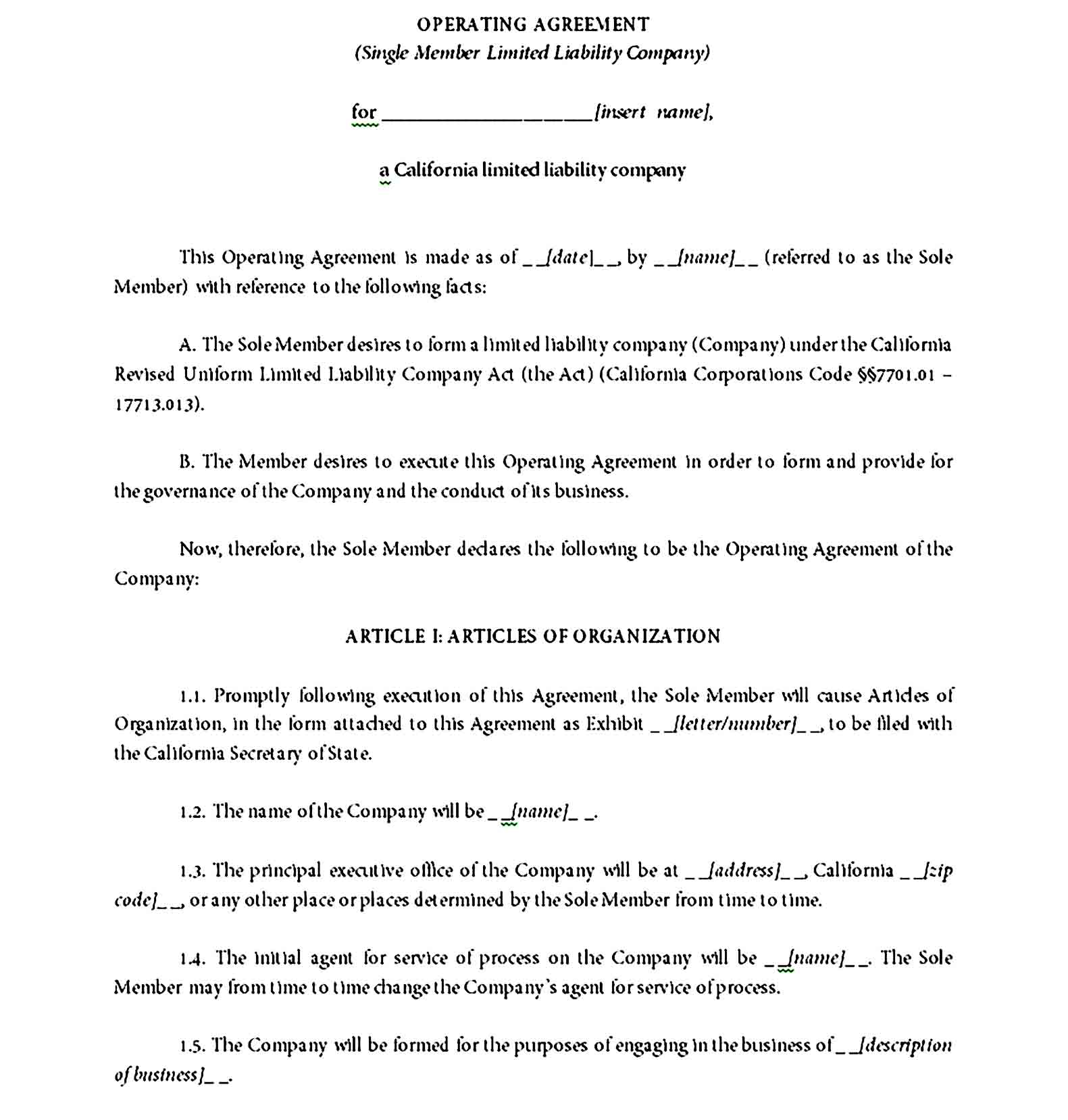 llc operating agreement template 11