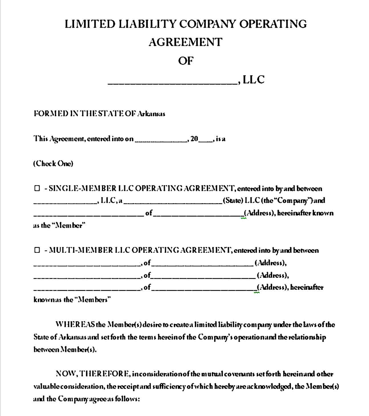 llc operating agreement template 12