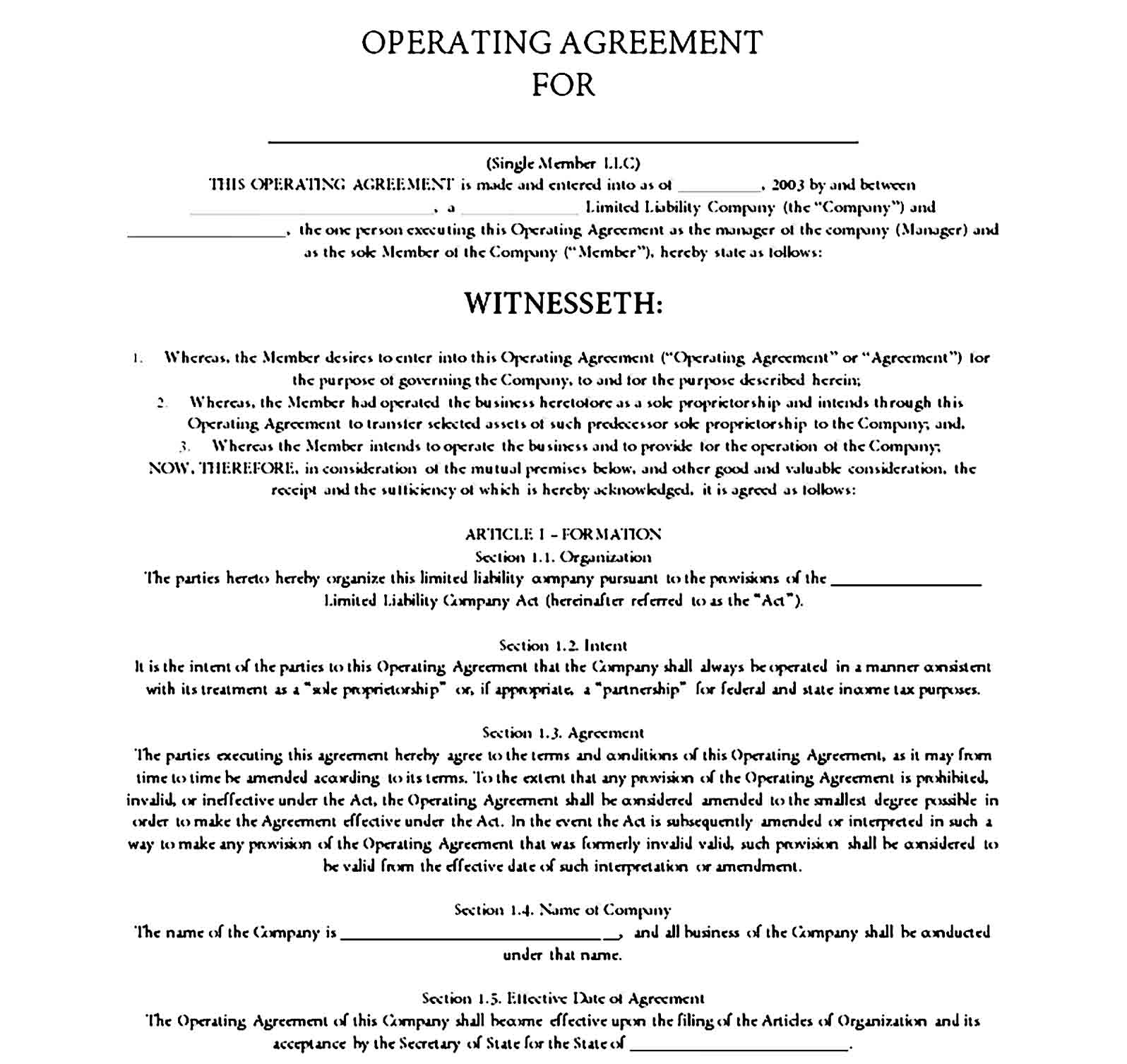 llc operating agreement template 13
