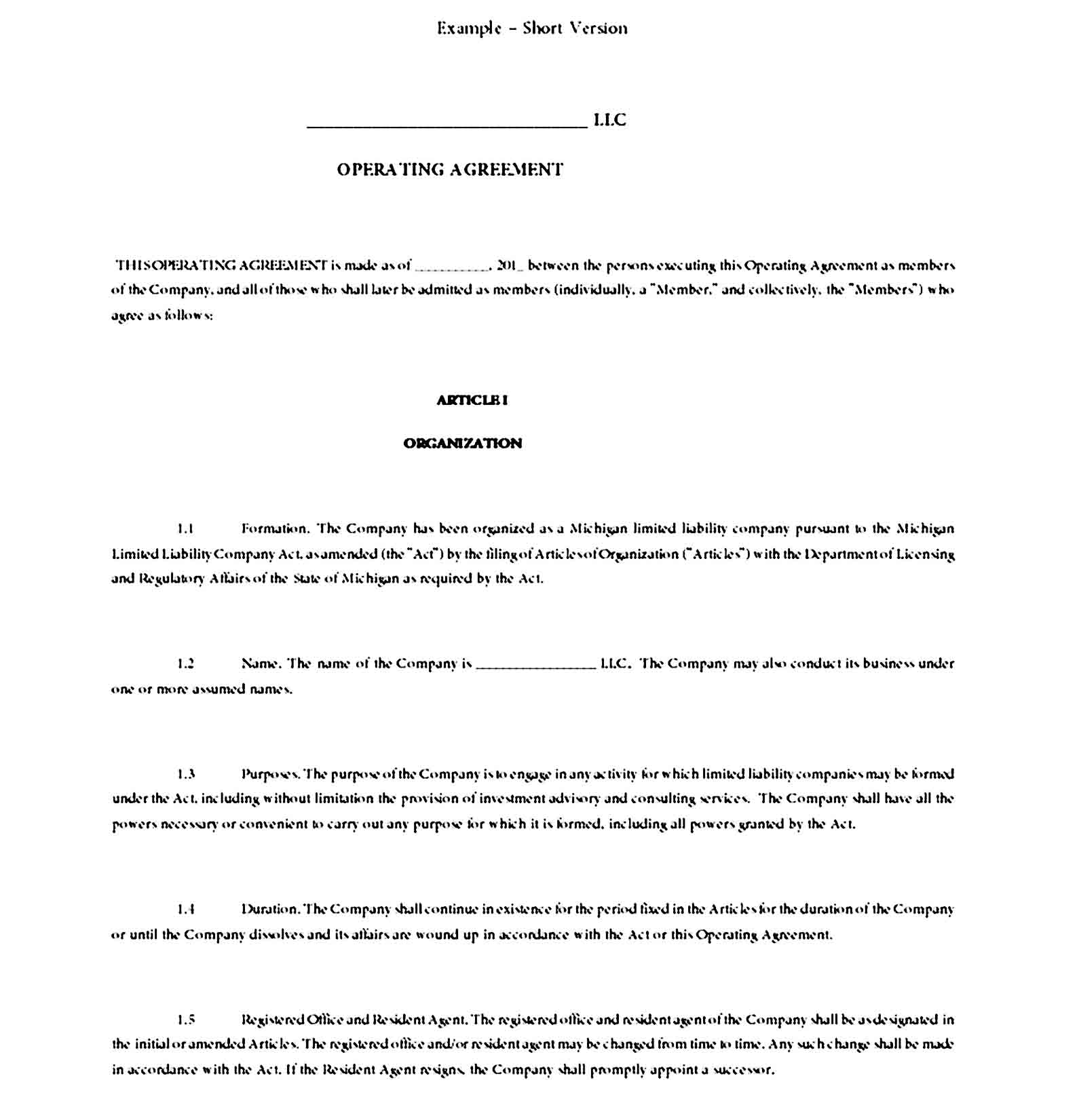 llc operating agreement template 14