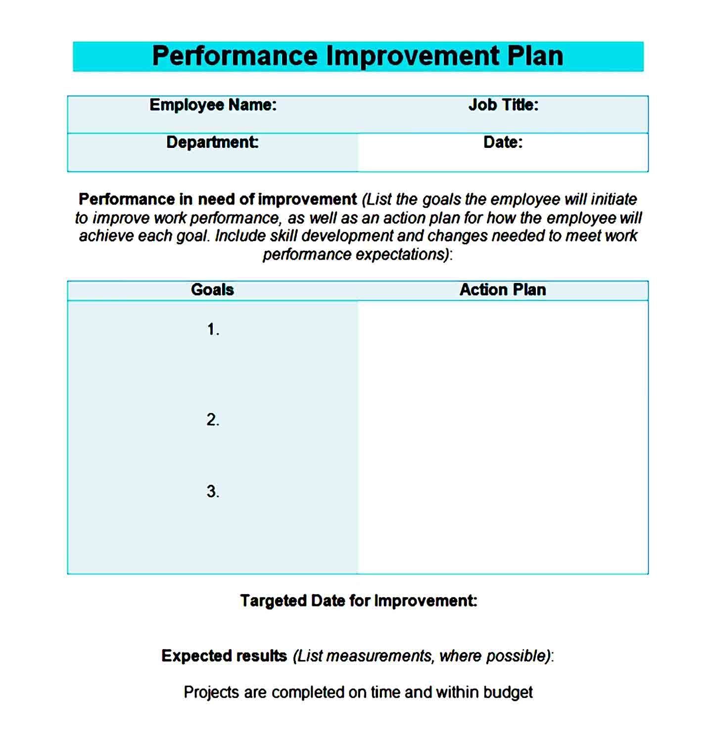 performance improvement plan template 17