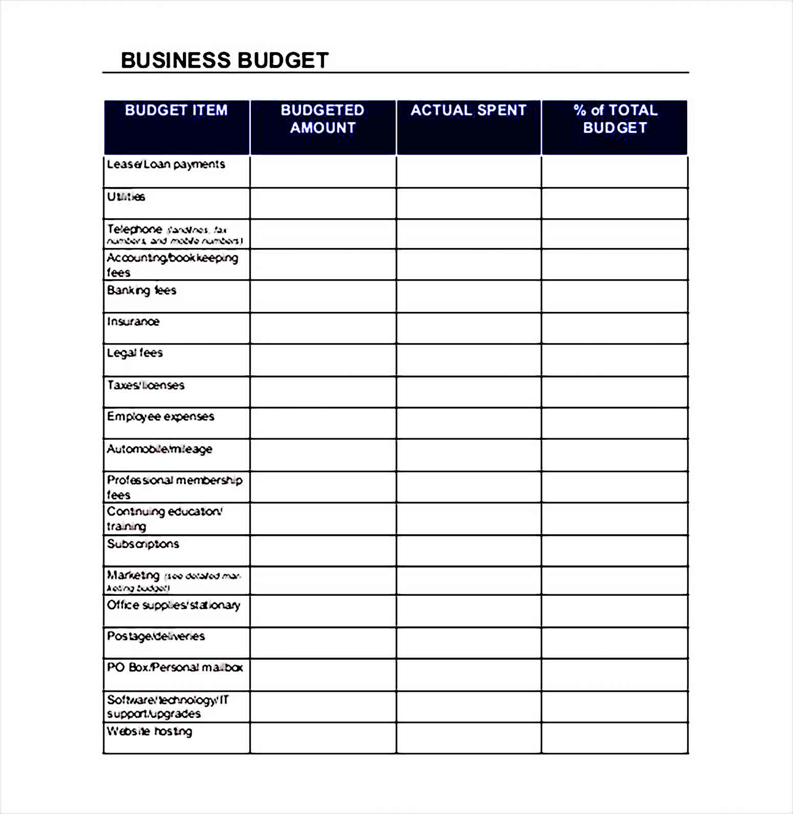 Business Budget Spreadsheet