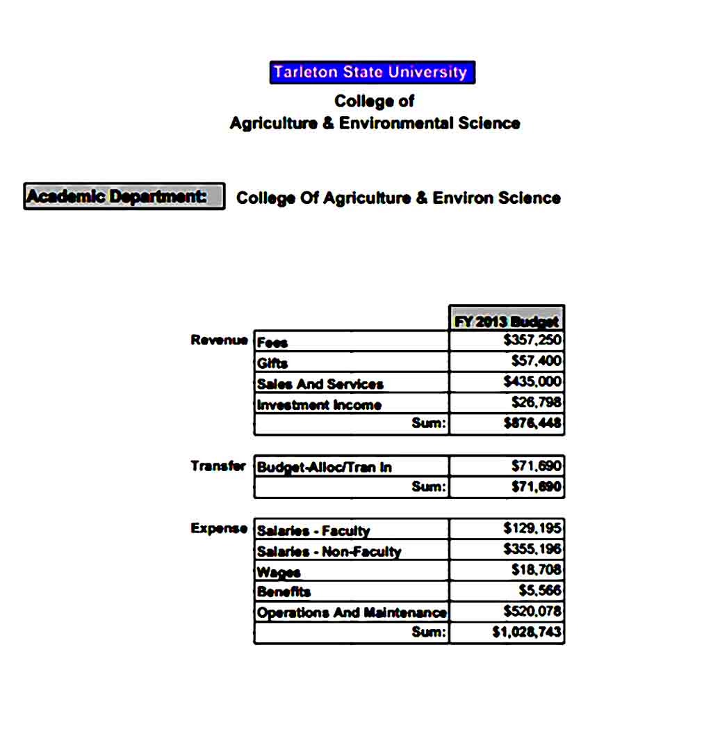 College Department Budget Template