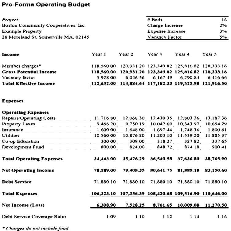 Pro Forma Operating Budget Template