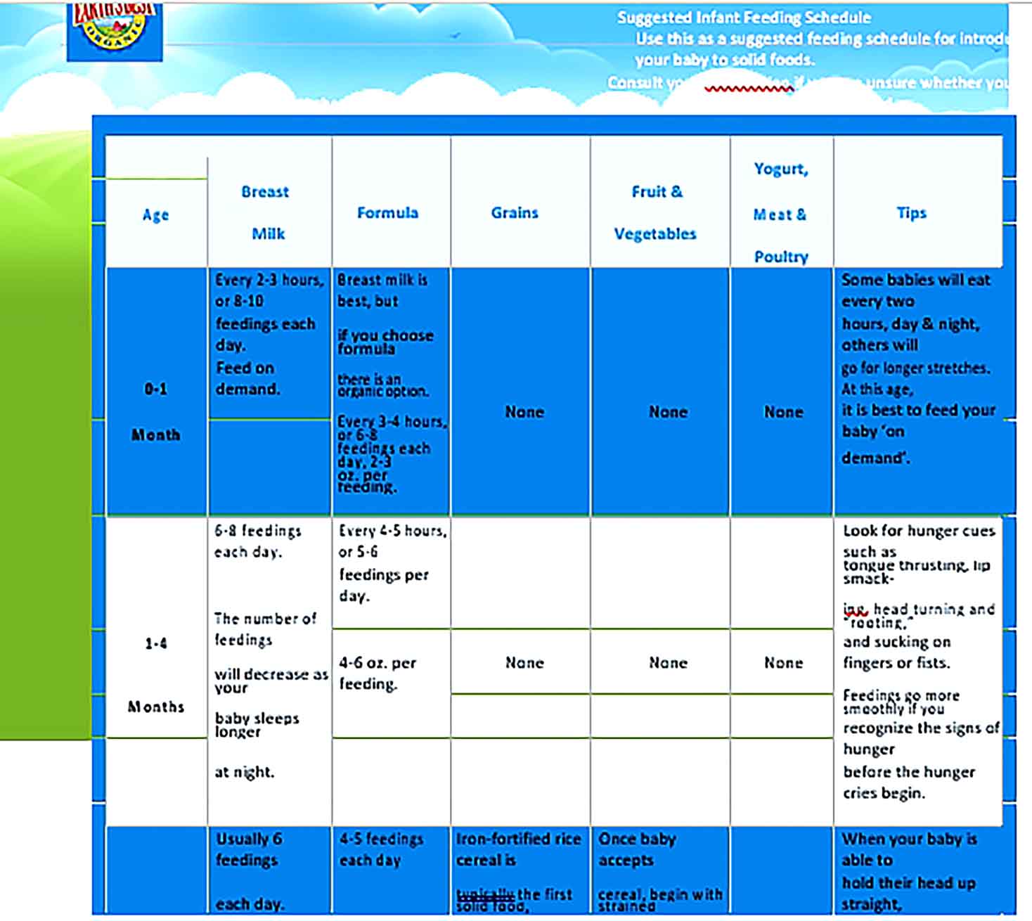 Template Infant Feeding Schedule by Age Sample
