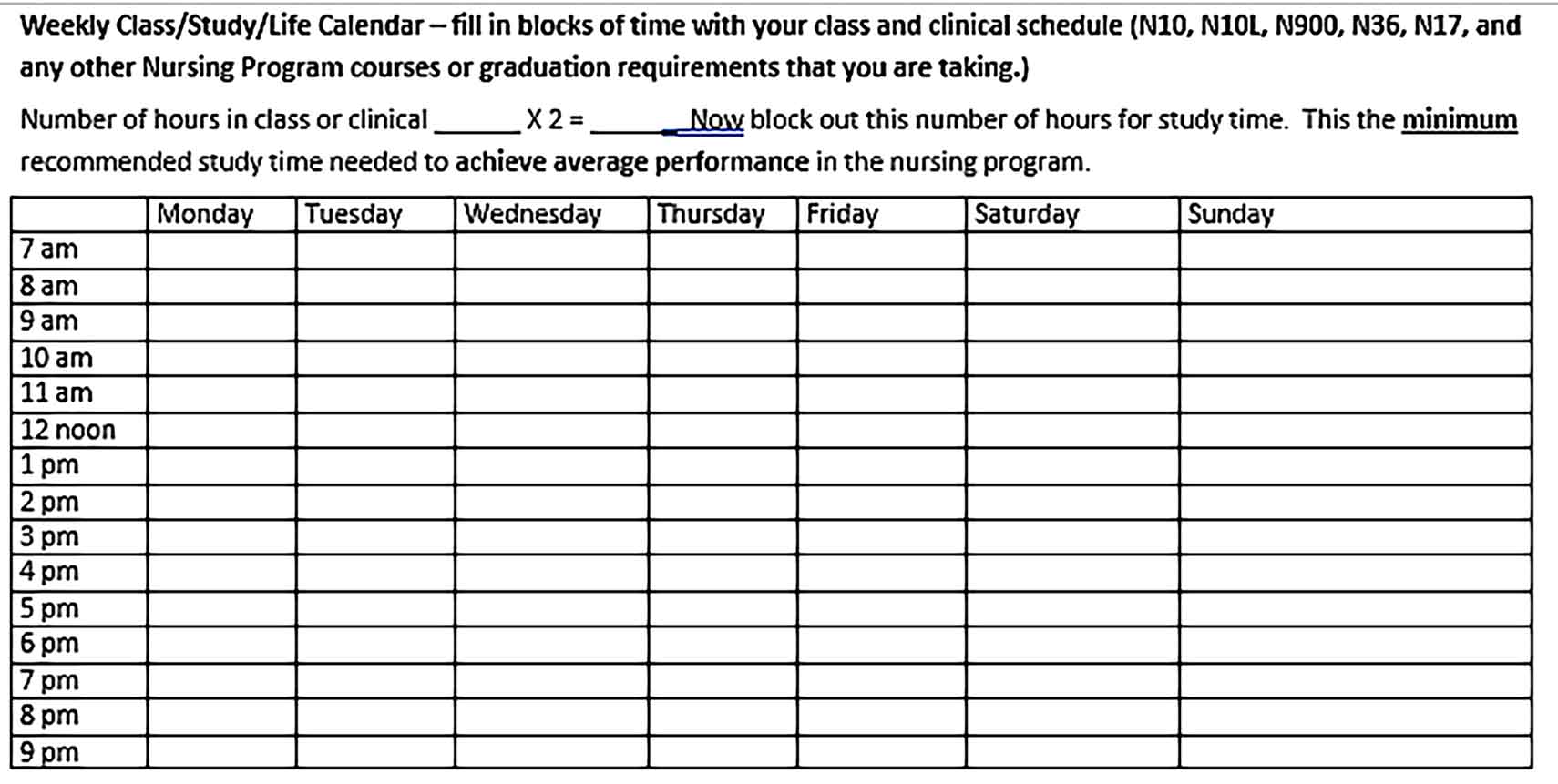 Template Nursing College Schedule Sample