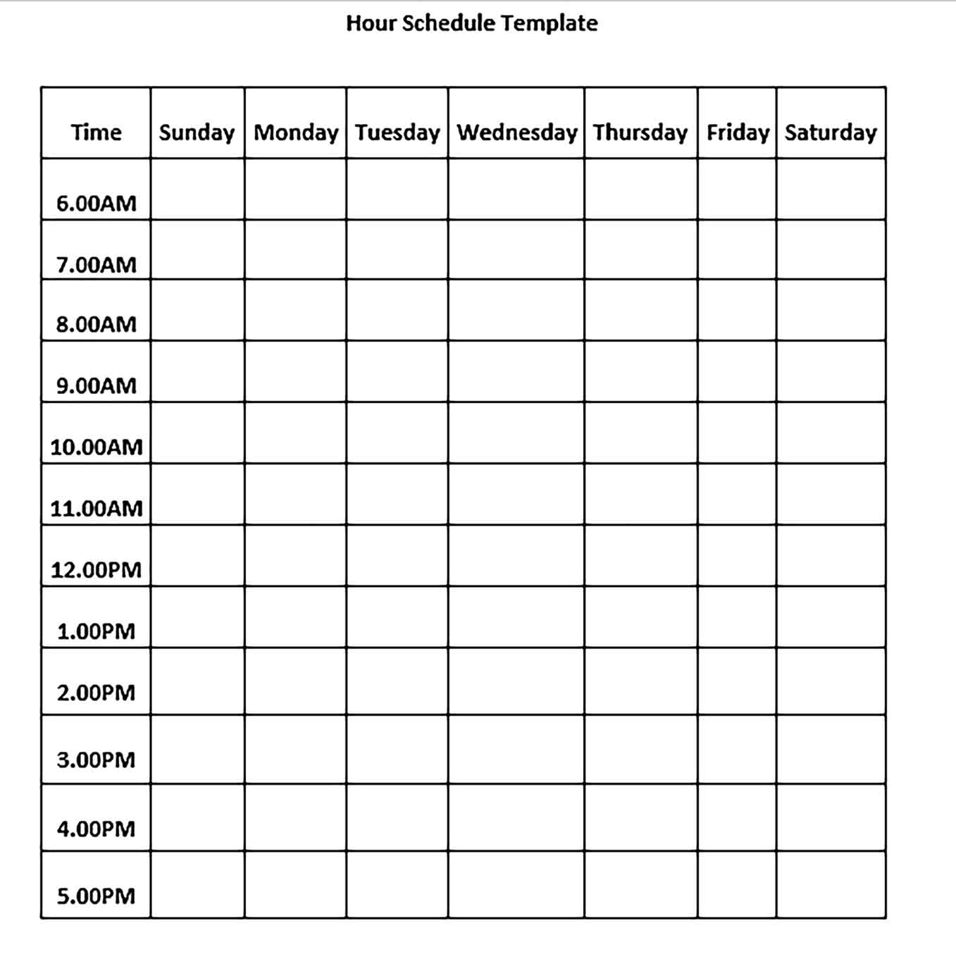 Template hourly schedule Sample 001