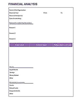 Templates for Financial Analysis 1 Sample