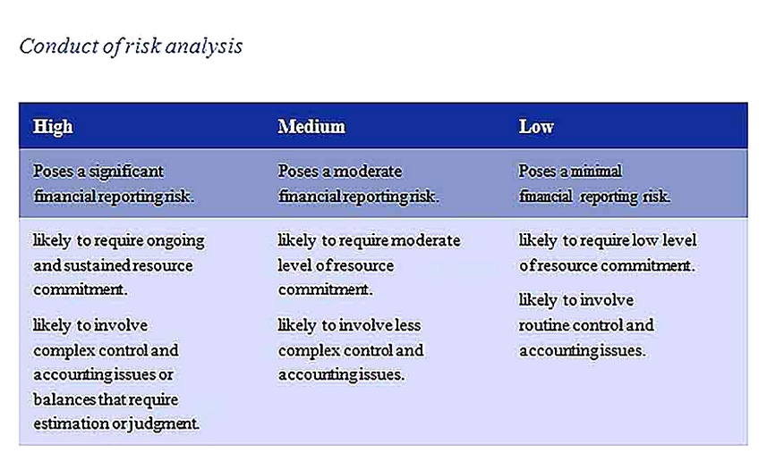 Templates for Financial Statement Risk Analysis Sample