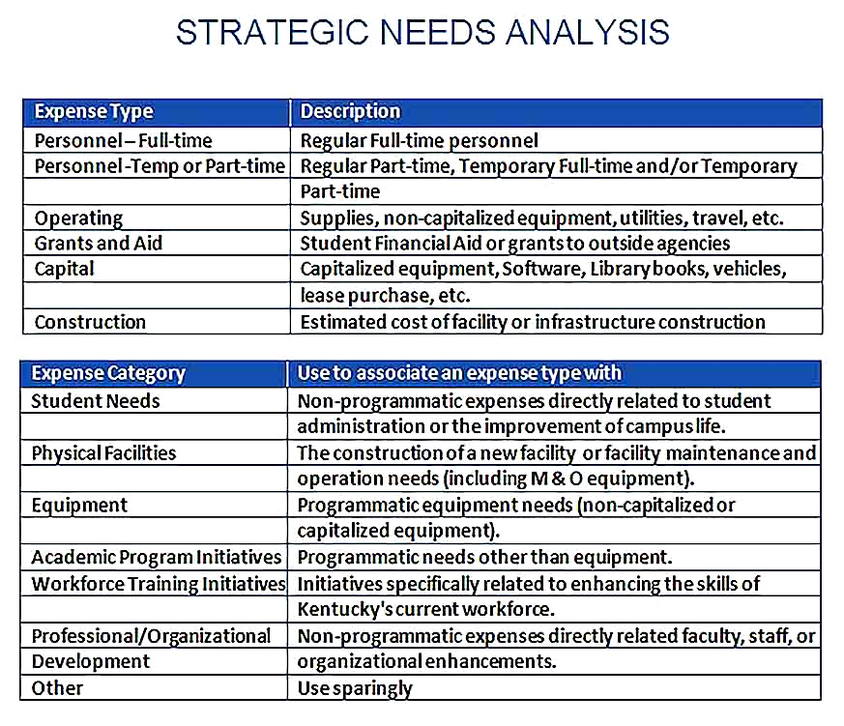Templates for Strategic Needs Analysis Sample Copy