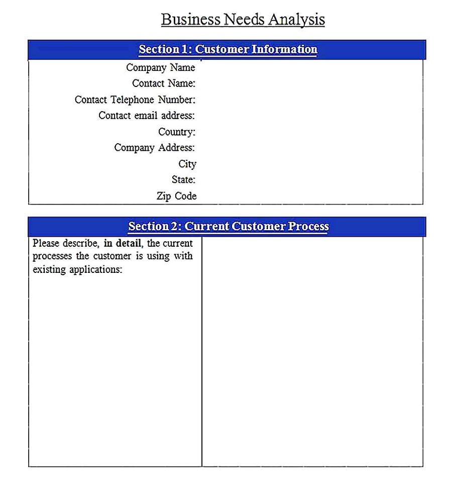 Templates for of Business Needs Analysis Sample