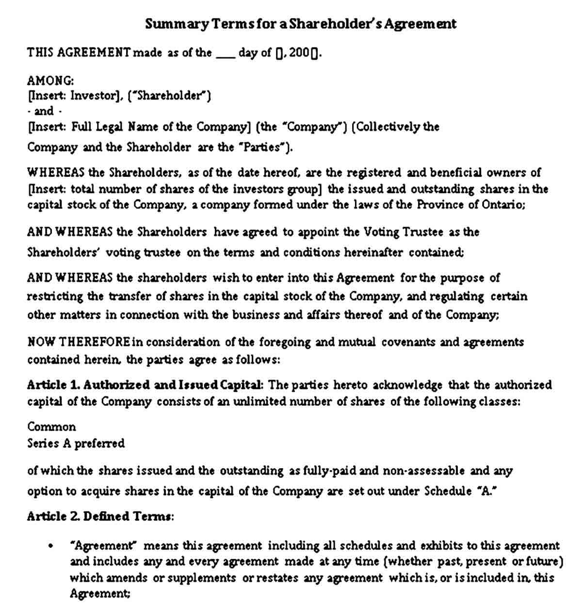 Summary Terms for Shareholders Agreement Template