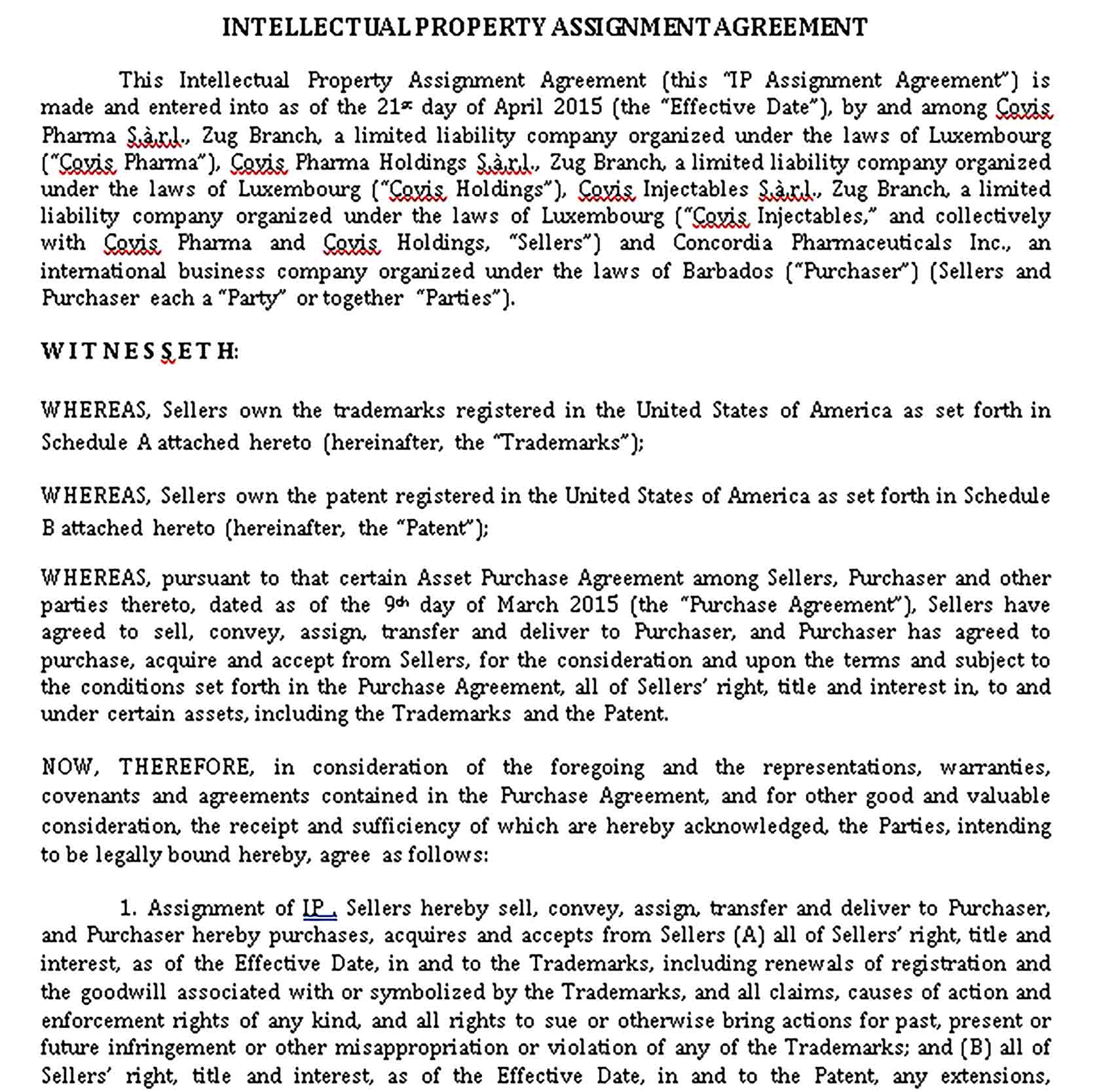 Templates Intellectual Property Assignment Agreement in Sample