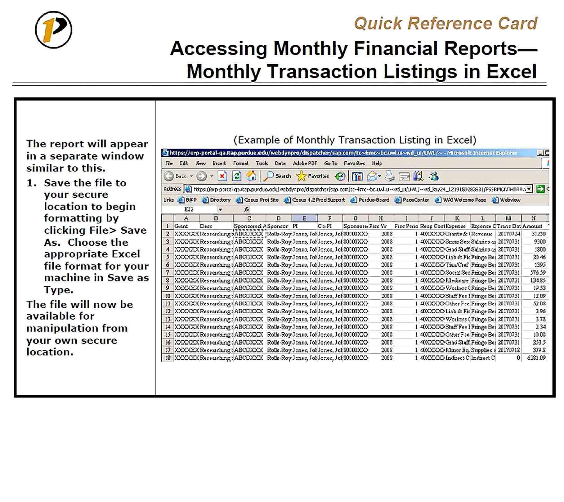 Sample Access Monthly Report Template